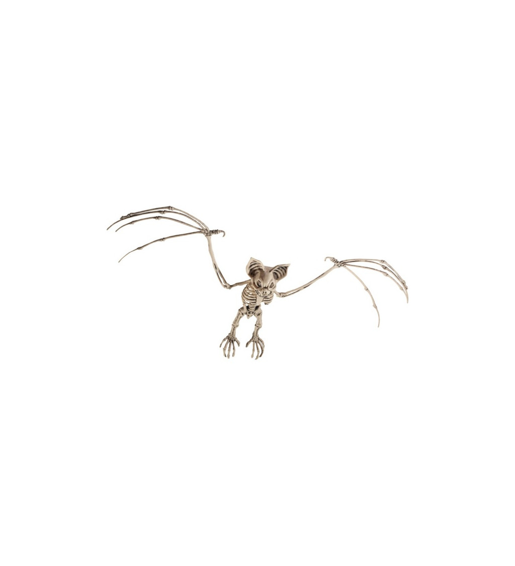 Dekorace - Kostra netopýra
