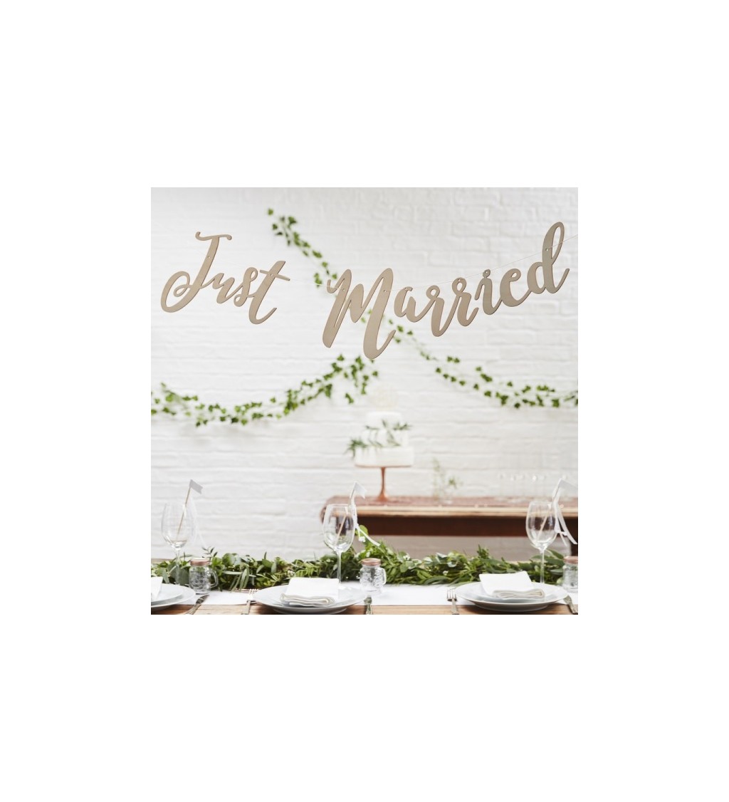 Banner JUST MARRIED