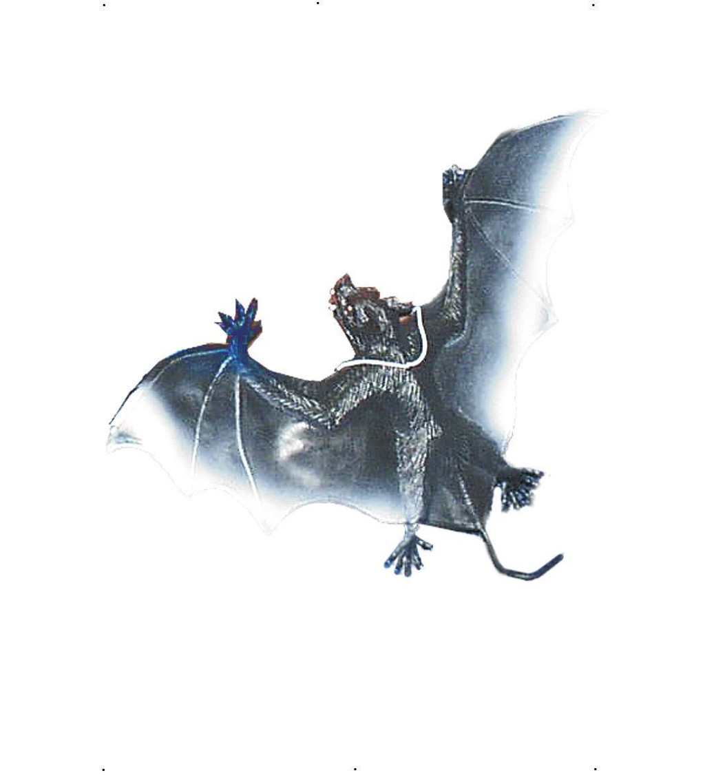 Dekorace gumový netopýr - 1 ks