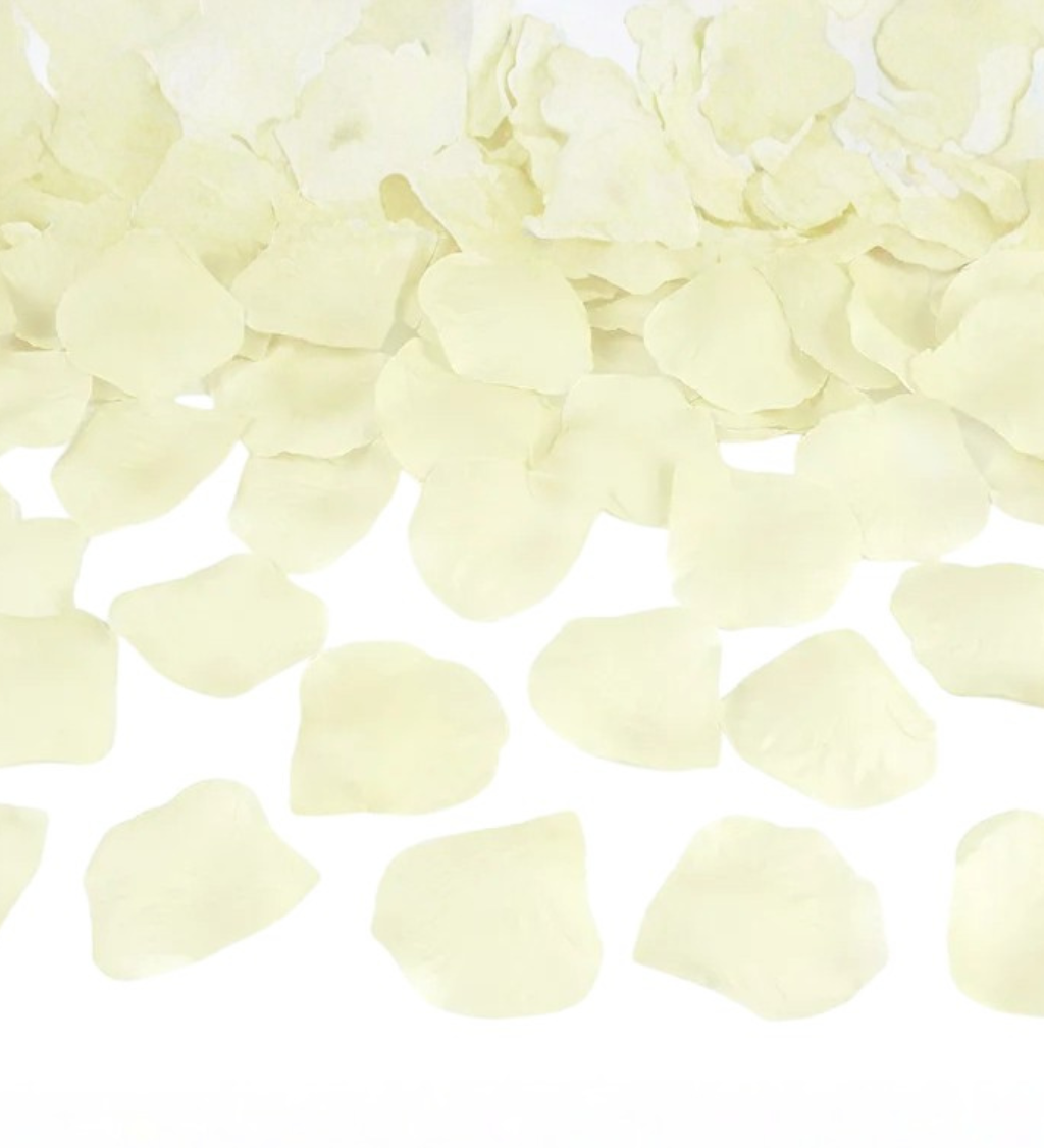 Krémové plátky růží