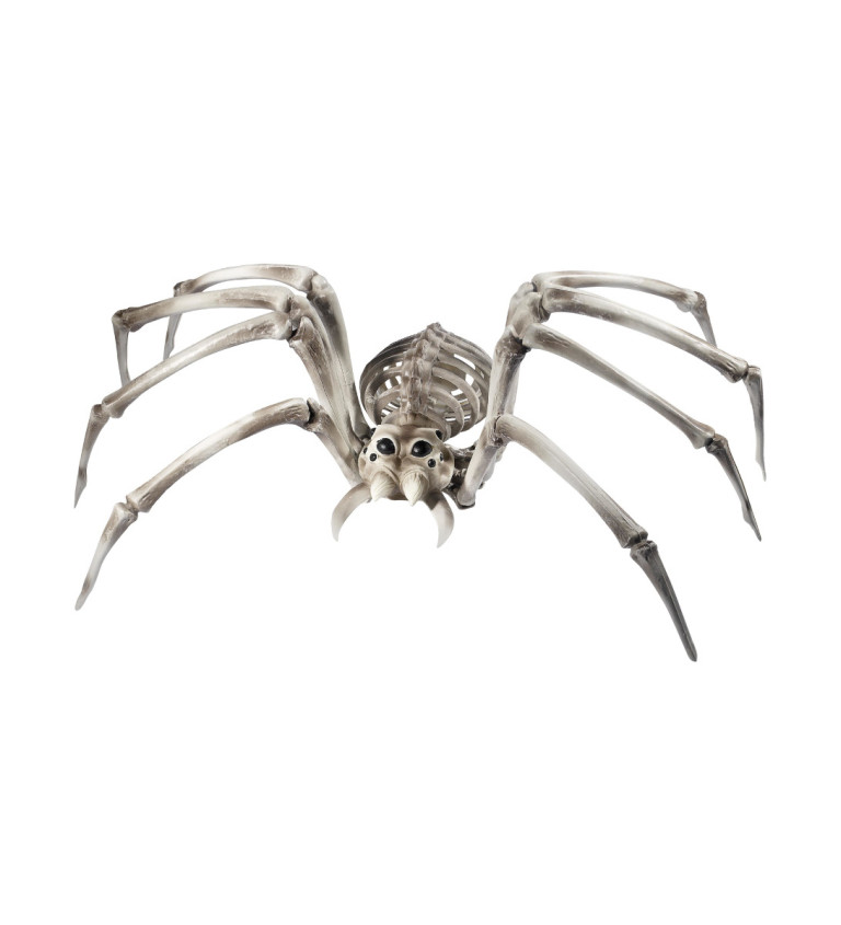 Dekorace - Kostra velkého pavouka